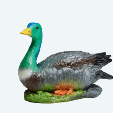 Утка дикая